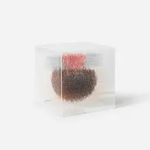 Irving Harper, Untitled, paper and string construction suspended in acrylic box