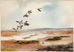 Robert W. Milliken, Mallards in Flight, undated, watercolor on paper