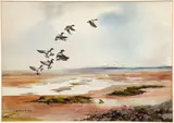 Robert W. Milliken, Mallards in Flight, undated