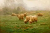 Carleton Wiggins, Grazing Sheep, 1916, oil on canvas, relined