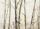 Charles Pitcher, The Ten Mile Stand