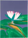 Gary Bukovnik, Untitled (Waterlily), 1989, color monoprint, pencil