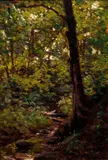 William Trost Richards, Forest Interior, oil on wood panel