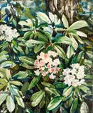 Andrey Avinoff, Mountain Laurel, c.1930s or 40s