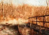Charles Pitcher, November Gold