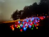 Parade Field, 2009, color by Barry Underwood, photograph, offered Apr 2021