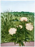Jane Niederhoffer Freilicher, Peonies, 1990, color, lithograph