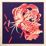 Lowell Nesbitt, Untitled (Spotted Lily), 1971, original, serigraph printed in color, pencil