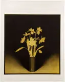 A Still Life of Yellow Flowers by Alan Tinley, 1978, etching and aquatint, offered Mar 2021