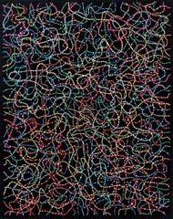 Fred Tomaselli, Chain Reaction, 2001, iris print, 19.75 x 15.5 inches, pencil