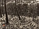 Path in The Forest by Kikei Sasajima, woodcut on handmade paper, offered Feb 2021