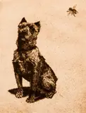 Portrait of a Dog (Terrier) 1925 and Bee by Paul Casberg, c.1922, etching, offered Feb 2021