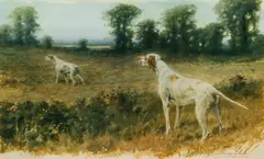 Maud Earl, Two Hunting Dogs Pointing in a Field, 1906, photomechanical, lithograph