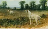 Maud Earl, Two Hunting Dogs Pointing in a Field, 1906, photomechanical, lithograph