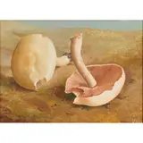 Rudolf Nehmer, Still Life Mushrooms, oil on board, [approximate dimensions -
