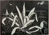 Flora Schofield, - ''Tropical Plants''-, woodcut