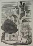 Prentiss Taylor, - ''Caroline Low Country''-, lithograph, 1933, singed