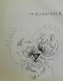 Charles E. Burchfield, - ''Triangula''-, graphite on paper