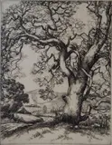 Cornelius Botke, - ''Beside a Valley Road''-, etching, 1942