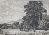 Luigi Lucioni, - ''Stony Pasture'' (Embury 88)-, etching, 1943