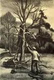 Leonard Pytlak, - ''Pruning''-, lithograph