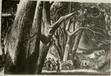Lynd Ward, - ''Clouded Oven''- wood, engraving