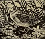 Stevan Dohanos, - ''Quail''- wood