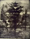Michael Mazur, - ''Night Pines, Norfolk Conn''-