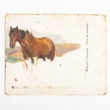 Victor Vasilievich Shatalin, Zemlyanye Khutory, 1926 - Kyiv, 2003 / Studio