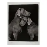 William Wegman, Friends