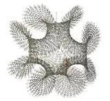 Ruth Asawa, Untitled, S.750 (Hanging Open Form with Four Fluted Edges)