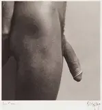 Gregg Cauley-Cock by Robert Mapplethorpe, 1980, Gelatin silver print, sold Mar 2015