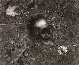 Vanitas (from Pictures of Soil Series) by Vik Muniz, 1999, Gelatin silver print, sold Mar 2015