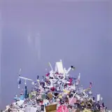 Geoffrey Farmer, In The Beginning The End Often Looks Like This, Engulfed In Stillness, Immobile and Ultimately, 2004, Transmounted LightJet print