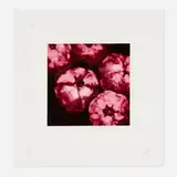 Pomegranates (from the Fruits and Flowers III series) by Donald Sultan, 1994, screenprint in colors, sold Oct 2022