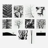 George Tice, Trees Portfolio