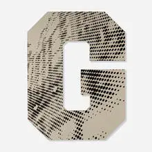 Ned Vena, Graphic G, 2014, rubber on linen over shaped wooden panel