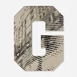 Ned Vena, Graphic G, 2014, rubber on linen over shaped wooden panel