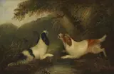 Edward Armfield, Untitled, oil on canvas 51 x 76cm