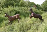 John Cox, Untitled, stag and hind bronze with brown patina