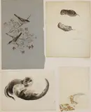 Eileen Soper, Untitled
