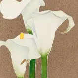 Gary Bukovnik, Calla Lily Study