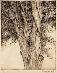 Edmond Casarella, Tree, 1958, etching on paper