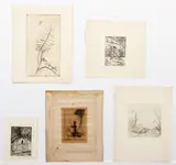 Lot of 4 etchings, each with a nature or animal motif, 1967-1975, each one signed, dated and numbered in pencil, one is hand-colored ALSO WITH by Jane Colarulli, etching of a girl sweeping, offered Feb 2021