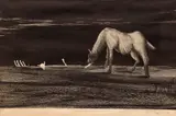 Richard Florsheim, Desert Nocturne