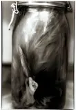 Egret, black and white by Richard Hurst, photograph, offered Feb 2021
