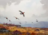 C. (Cyril) (British, 20th century), Speckled Grouse in Flight, undated by J. Harrison, watercolor on paper, offered Dec 2020