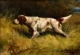 Gustav Muss-Arnolt, Setter on Point, 1923, oil on canvas