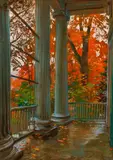 Andrey Avinoff, Pittsburgh Porch
