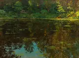 Andrey Avinoff, Pond